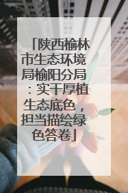 陕西榆林市生态环境局榆阳分局：实干厚植生态底色，担当描绘绿色答卷