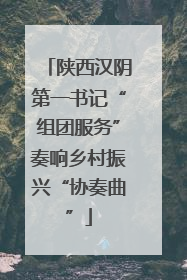 陕西汉阴第一书记“组团服务”奏响乡村振兴“协奏曲”