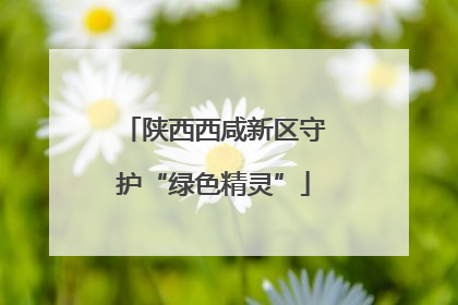 陕西西咸新区守护“绿色精灵”