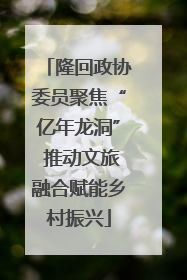 隆回政协委员聚焦“亿年龙洞” 推动文旅融合赋能乡村振兴