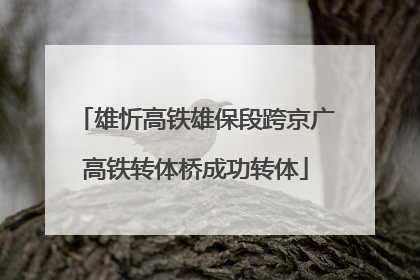 雄忻高铁雄保段跨京广高铁转体桥成功转体