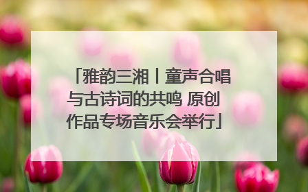 雅韵三湘丨童声合唱与古诗词的共鸣 原创作品专场音乐会举行
