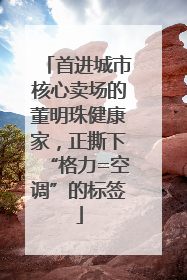 首进城市核心卖场的董明珠健康家，正撕下“格力=空调”的标签