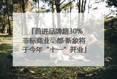 首进品牌超30% 非标商业亳都·新象将于今年“十一”开业