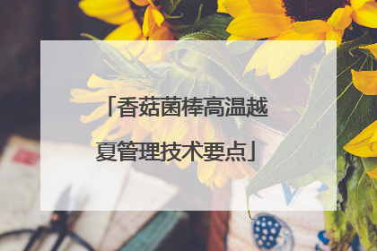 香菇菌棒高温越夏管理技术要点