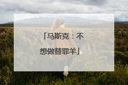 马斯克：不想做替罪羊