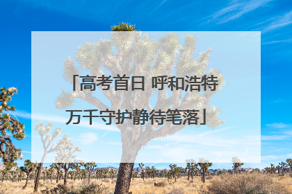 高考首日 呼和浩特万千守护静待笔落