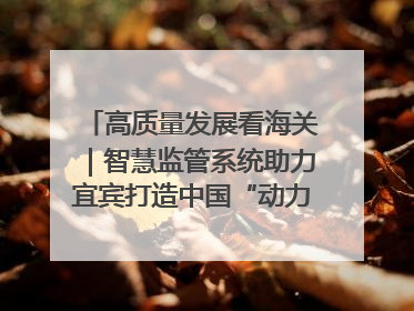 高质量发展看海关｜智慧监管系统助力宜宾打造中国“动力电池之都”