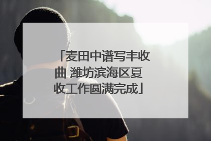 麦田中谱写丰收曲 潍坊滨海区夏收工作圆满完成