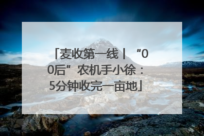 麦收第一线丨“00后”农机手小徐：5分钟收完一亩地