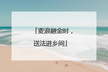 麦浪翻金时，送法进乡间
