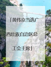 黄伟京当选广西壮族自治区总工会主席