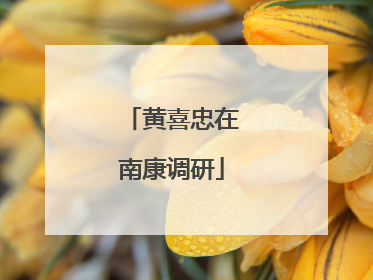 黄喜忠在南康调研