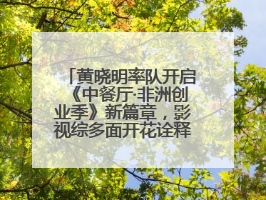 黄晓明率队开启《中餐厅·非洲创业季》新篇章，影视综多面开花诠释全能担当