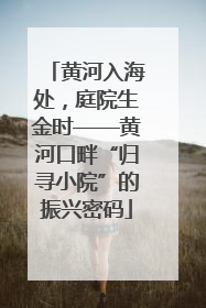 黄河入海处，庭院生金时——黄河口畔“归寻小院”的振兴密码