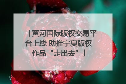 黄河国际版权交易平台上线 助推宁夏版权作品“走出去”