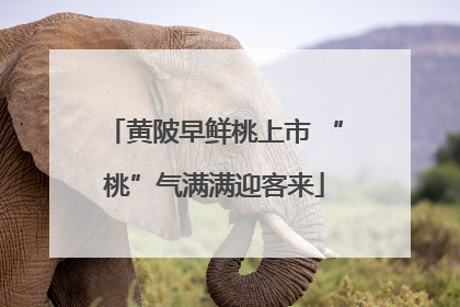 黄陂早鲜桃上市 “桃”气满满迎客来
