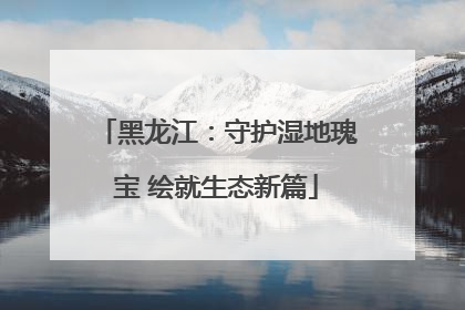 黑龙江：守护湿地瑰宝 绘就生态新篇