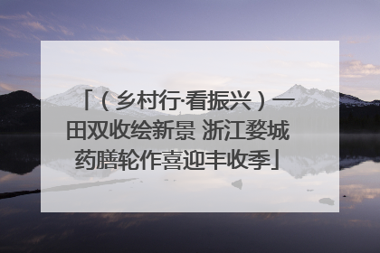 （乡村行·看振兴）一田双收绘新景 浙江婺城药膳轮作喜迎丰收季