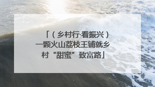 （乡村行·看振兴）一颗火山荔枝王铺就乡村“甜蜜”致富路