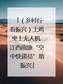 （乡村行·看振兴）土鸡坐上无人机 江西南康“空中快递员”助振兴