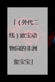 （外代二线）欧宝动物园的非洲象宝宝