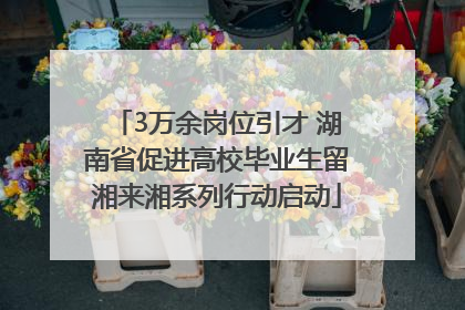 3万余岗位引才 湖南省促进高校毕业生留湘来湘系列行动启动