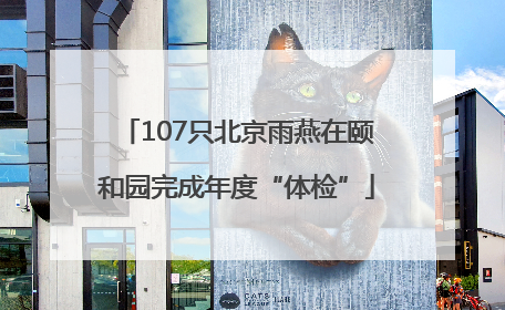 107只北京雨燕在颐和园完成年度“体检”