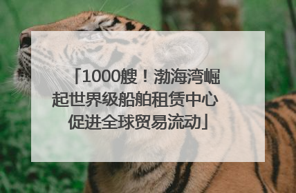 1000艘！渤海湾崛起世界级船舶租赁中心 促进全球贸易流动