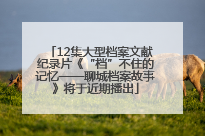 12集大型档案文献纪录片《“档”不住的记忆——聊城档案故事》将于近期播出