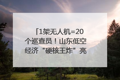 1架无人机=20个巡查员！山东低空经济“硬核王炸”亮相青岛，下一个万亿赛道藏在这里