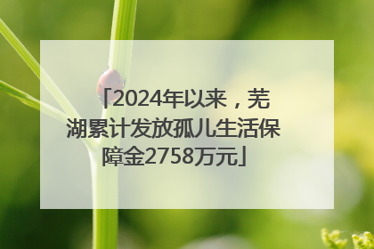2024年以来，芜湖累计发放孤儿生活保障金2758万元