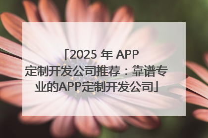 2025 年 APP 定制开发公司推荐：靠谱专业的APP定制开发公司
