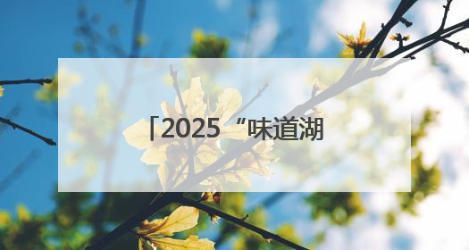 2025“味道湖南”美食季启动 推出“岳阳一桌菜”
