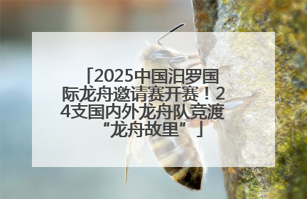 2025中国汨罗国际龙舟邀请赛开赛！24支国内外龙舟队竞渡“龙舟故里”