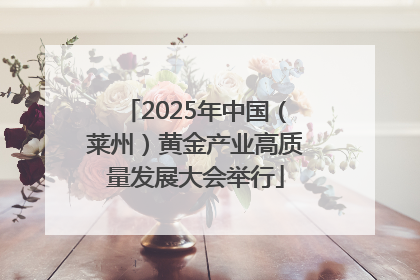 2025年中国（莱州）黄金产业高质量发展大会举行
