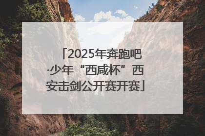 2025年奔跑吧·少年“西咸杯”西安击剑公开赛开赛