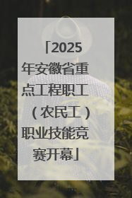 2025年安徽省重点工程职工（农民工）职业技能竞赛开幕