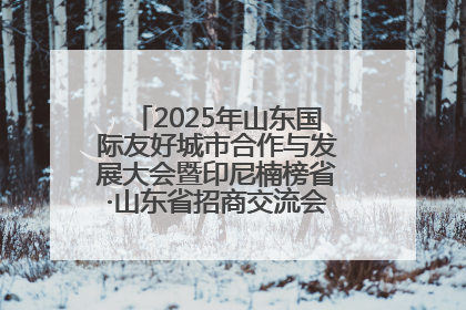 2025年山东国际友好城市合作与发展大会暨印尼楠榜省·山东省招商交流会在济南槐荫举行