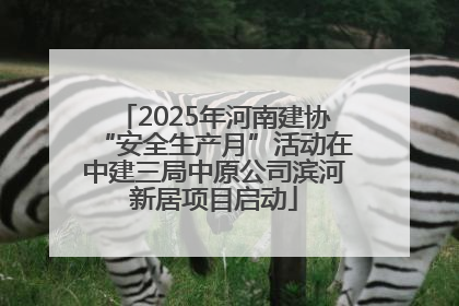 2025年河南建协“安全生产月”活动在中建三局中原公司滨河新居项目启动