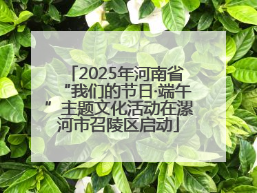 2025年河南省“我们的节日·端午”主题文化活动在漯河市召陵区启动