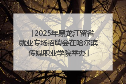 2025年黑龙江留省就业专场招聘会在哈尔滨传媒职业学院举办