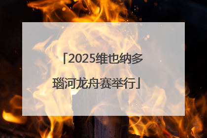 2025维也纳多瑙河龙舟赛举行