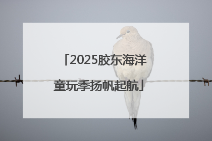 2025胶东海洋童玩季扬帆起航