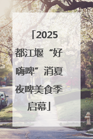 2025都江堰“好嗨啤”消夏夜啤美食季启幕