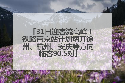 31日迎客流高峰！铁路南京站计划增开徐州、杭州、安庆等方向临客90.5对