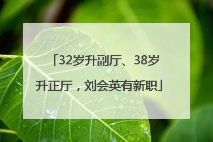 32岁升副厅、38岁升正厅，刘会英有新职