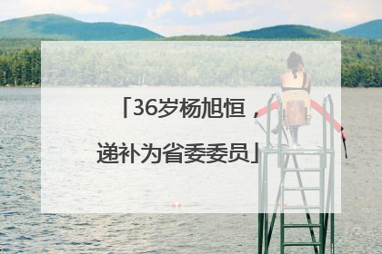 36岁杨旭恒，递补为省委委员