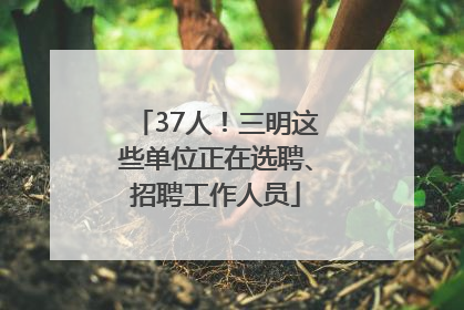 37人！三明这些单位正在选聘、招聘工作人员