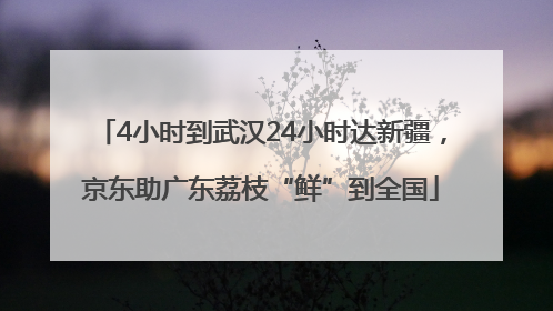 4小时到武汉24小时达新疆，京东助广东荔枝“鲜”到全国